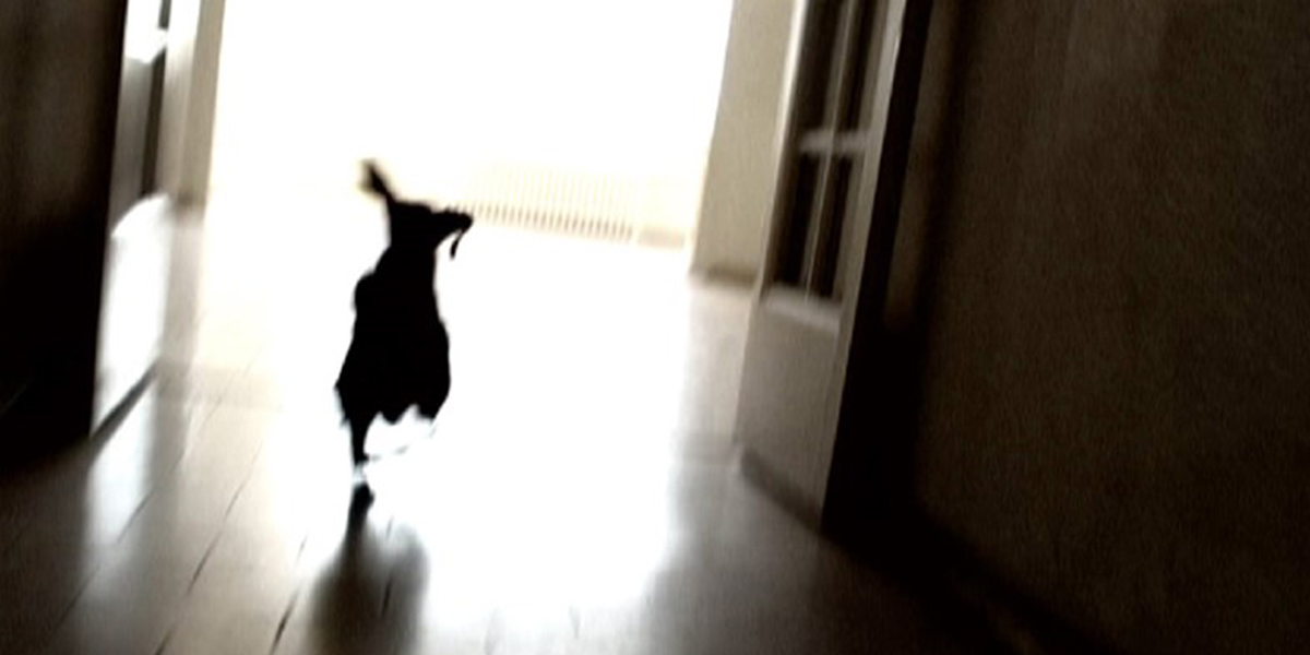 CineArt: 92Y Tribeca Center, New York