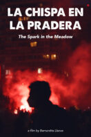 The Spark in the Meadow