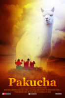 Pakucha