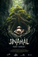 Sinahal, Mayan Midwife