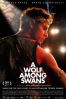 A Wolf Among Swans