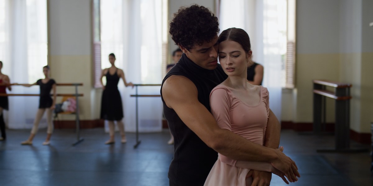 A Wolf Among the Swans