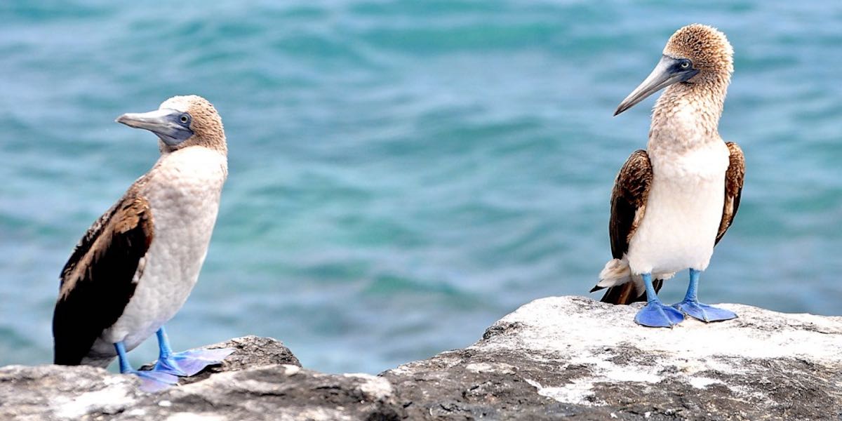 Sea Nomads_Still 02_1200