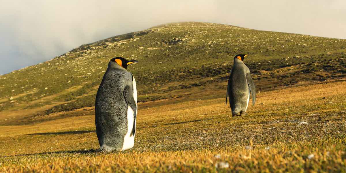 Transcending Waves_Still 03_1200