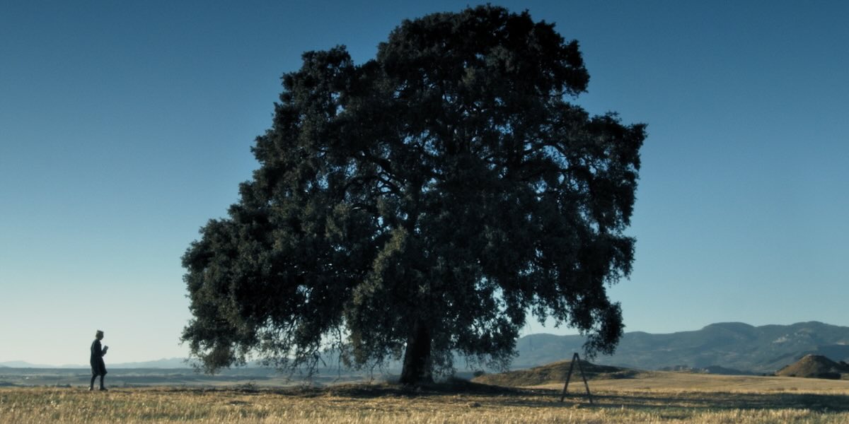 Carrasca_Still 05_1200